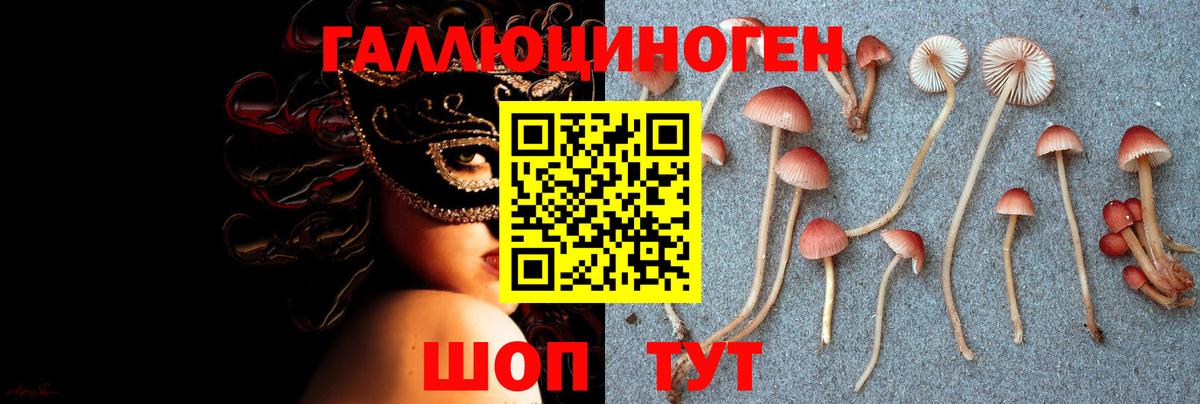 Псилоцибиновые грибы Magic Shrooms Копейск